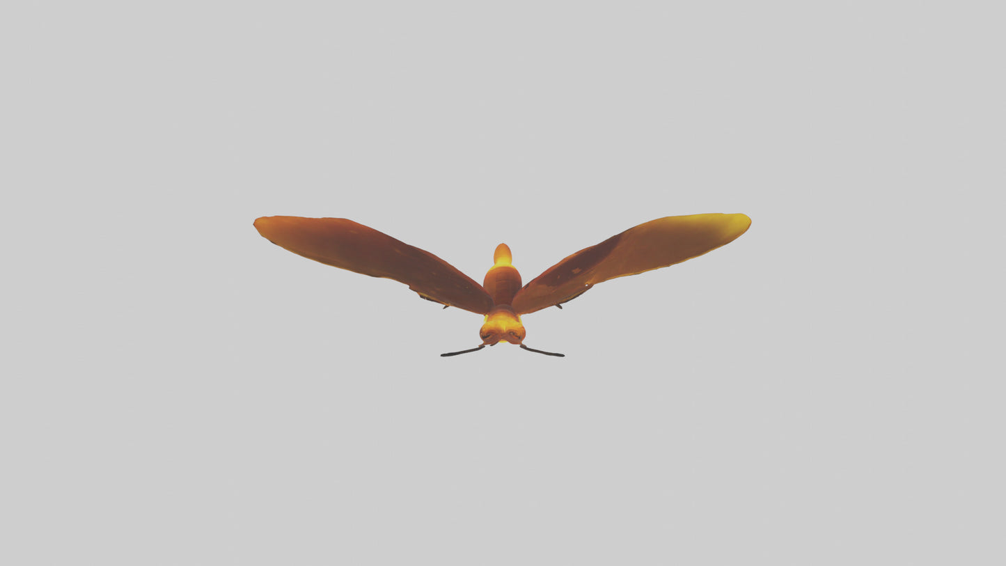 3D model Firefly glowing model VR / AR / low-poly
