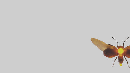 3D model Firefly glowing model VR / AR / low-poly