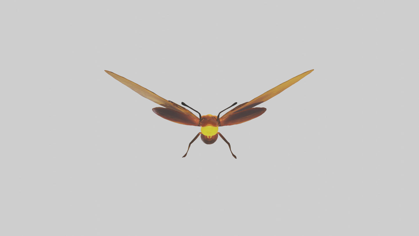 3D model Firefly glowing model VR / AR / low-poly
