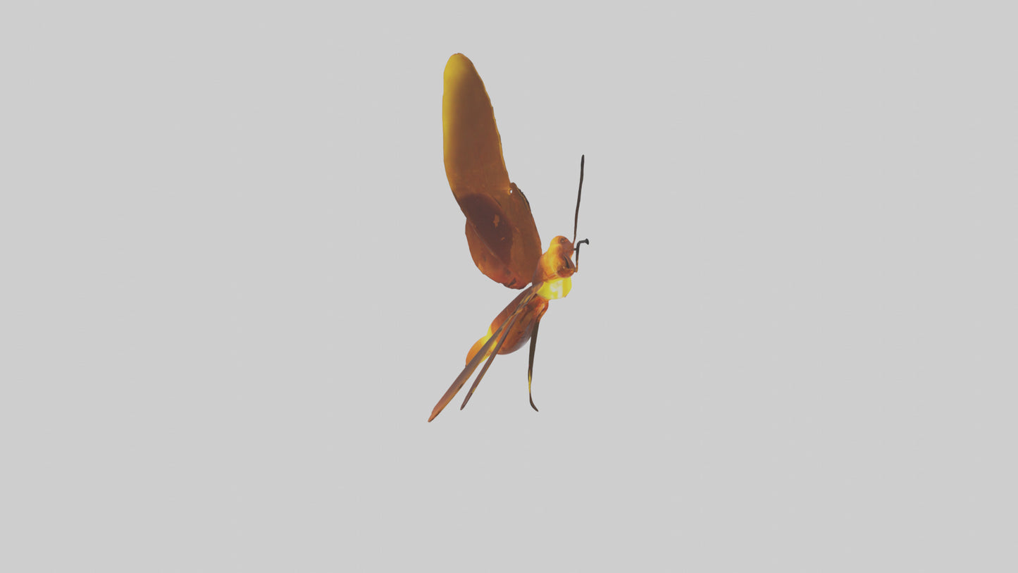 3D model Firefly glowing model VR / AR / low-poly