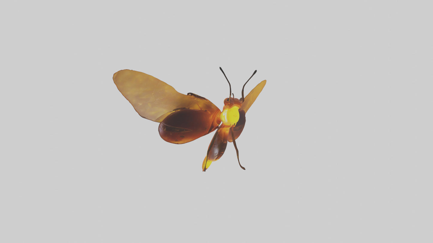 3D model Firefly glowing model VR / AR / low-poly