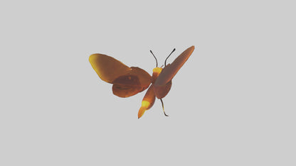 3D model Firefly glowing model VR / AR / low-poly