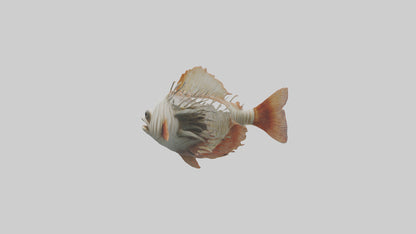 3D model Fish Gills Model VR / AR / low-poly
