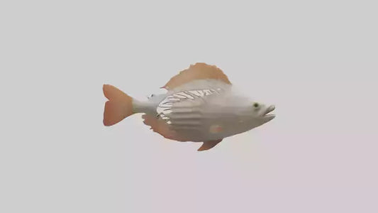 3D model Fish Gills Model VR / AR / low-poly