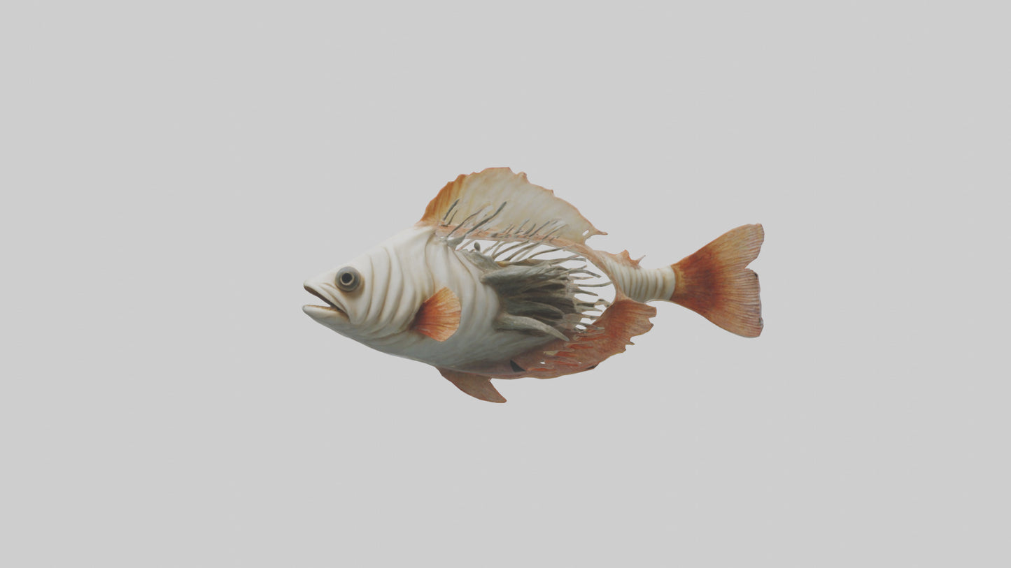 3D model Fish Gills Model VR / AR / low-poly