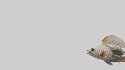 3D model Fish Gills Model VR / AR / low-poly