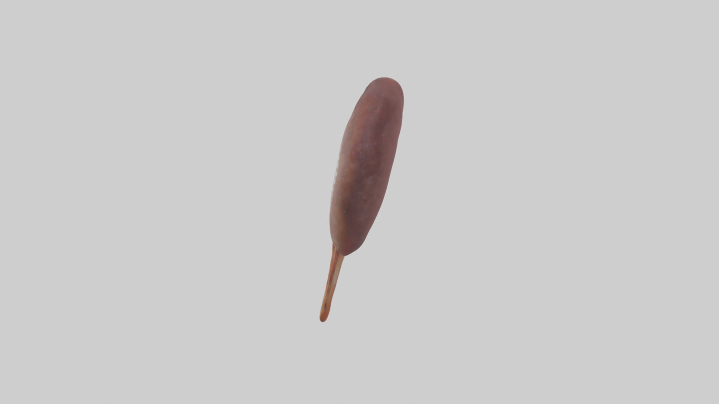 3D model Fish Kidneys VR / AR / low-poly