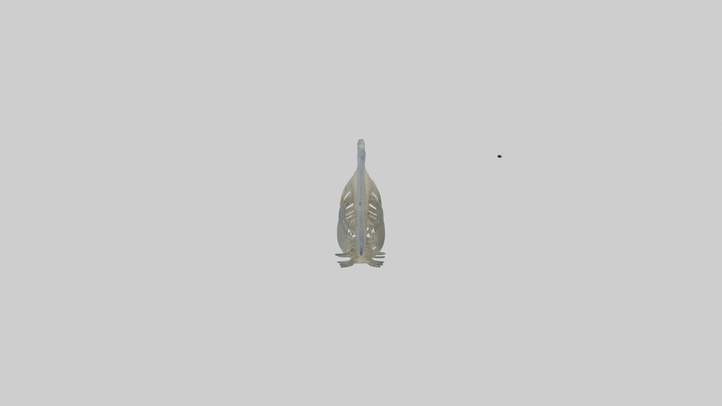 3D model Fish Spine VR / AR / low-poly