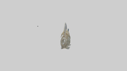 3D model Fish Spine VR / AR / low-poly