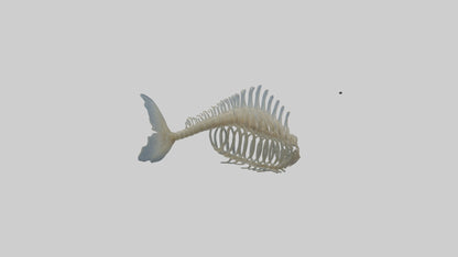 3D model Fish Spine VR / AR / low-poly