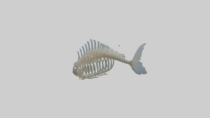 3D model Fish Spine VR / AR / low-poly