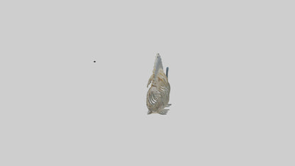 3D model Fish Spine VR / AR / low-poly