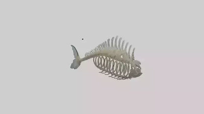 3D model Fish Spine VR / AR / low-poly