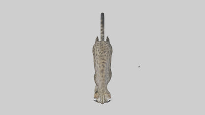 Fishing Cat stalking model 3D model