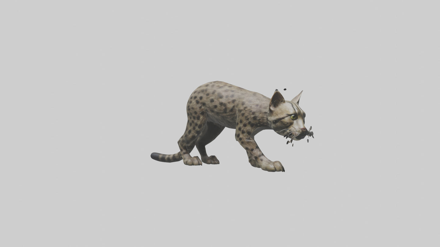 Fishing Cat stalking model 3D model