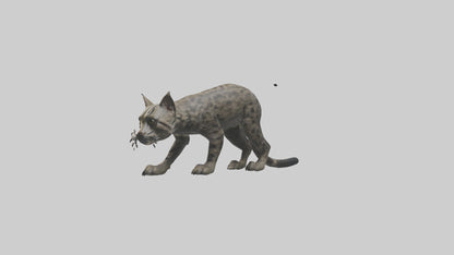 Fishing Cat stalking model 3D model