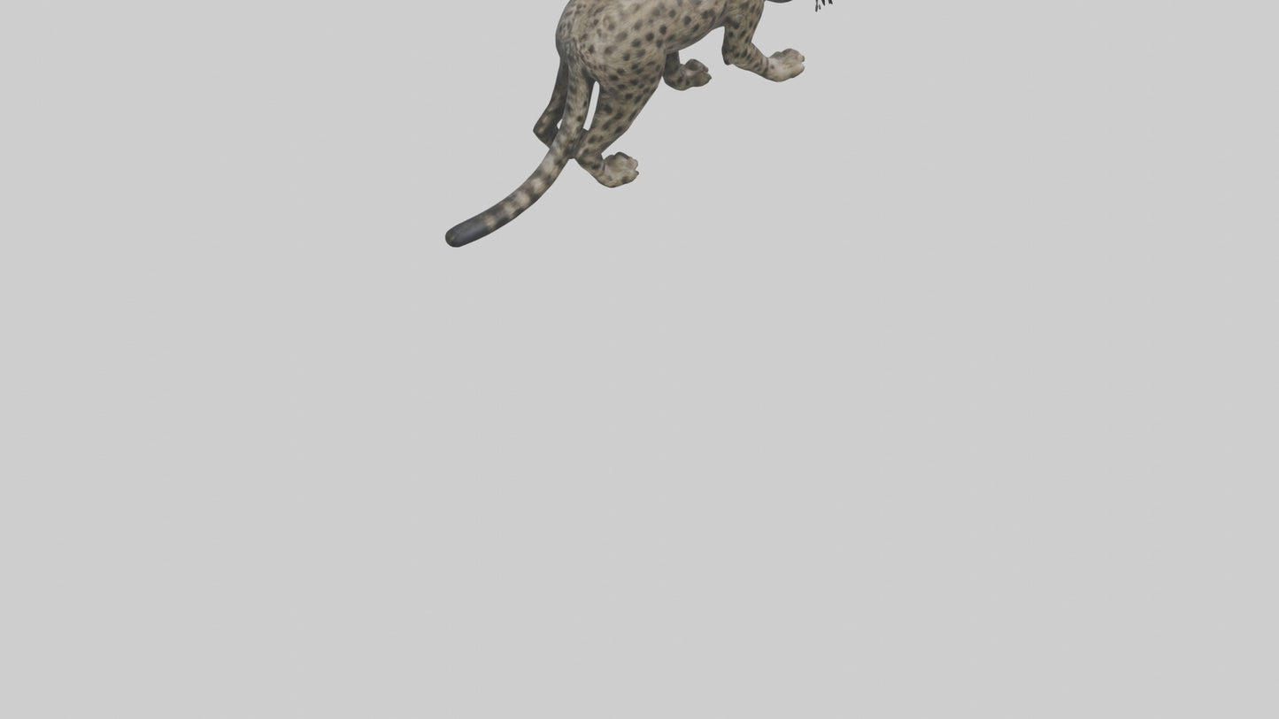 Fishing Cat stalking model 3D model