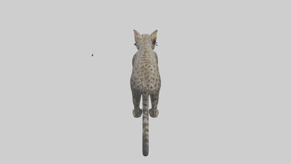 Fishing Cat stalking model 3D model