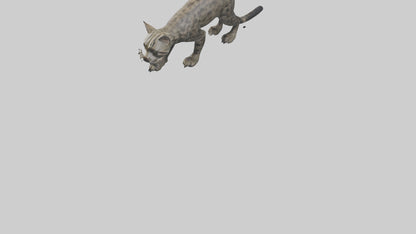 Fishing Cat stalking model 3D model