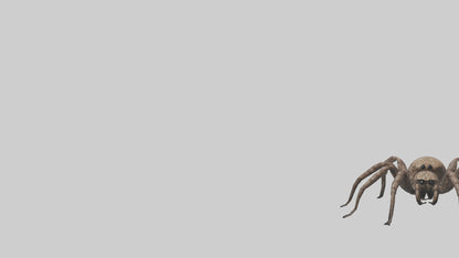 Fishing Spider sitting model VR / AR / low-poly