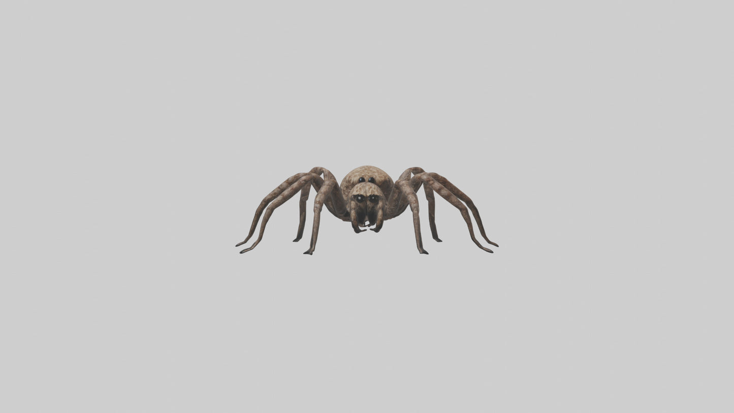 Fishing Spider sitting model VR / AR / low-poly