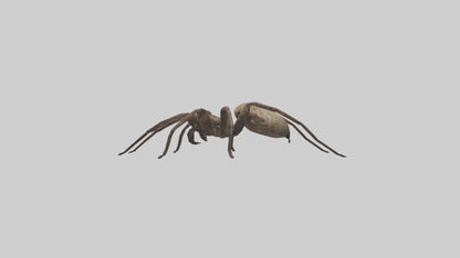 Fishing Spider sitting model VR / AR / low-poly