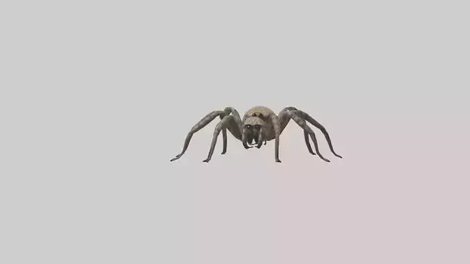 Fishing Spider sitting model VR / AR / low-poly