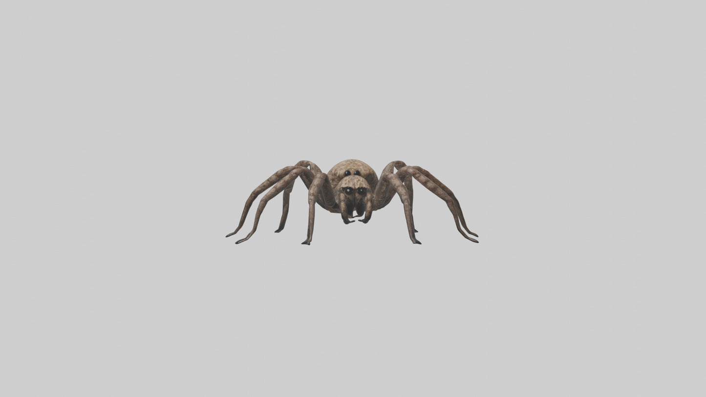 Fishing Spider sitting model VR / AR / low-poly