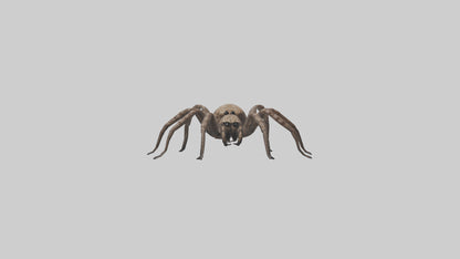 Fishing Spider sitting model VR / AR / low-poly