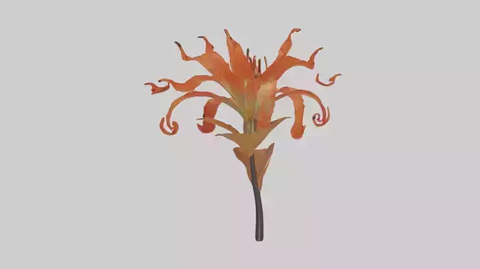 3D model Flame Lily model VR / AR / low-poly