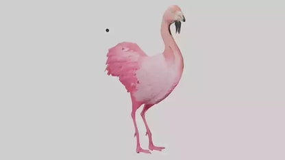 3D model Flamingo Heart VR / AR / low-poly