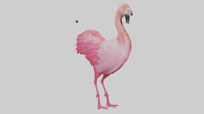 3D model Flamingo Heart VR / AR / low-poly