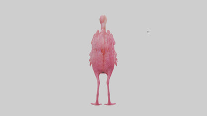 3D model Flamingo Heart VR / AR / low-poly