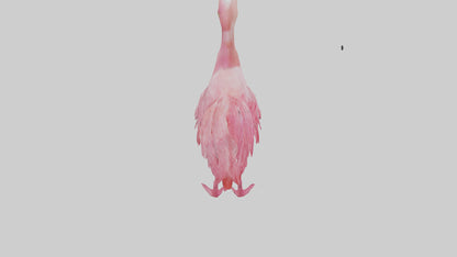3D model Flamingo Heart VR / AR / low-poly