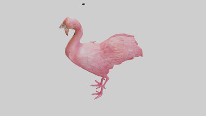 3D model Flamingo Heart VR / AR / low-poly