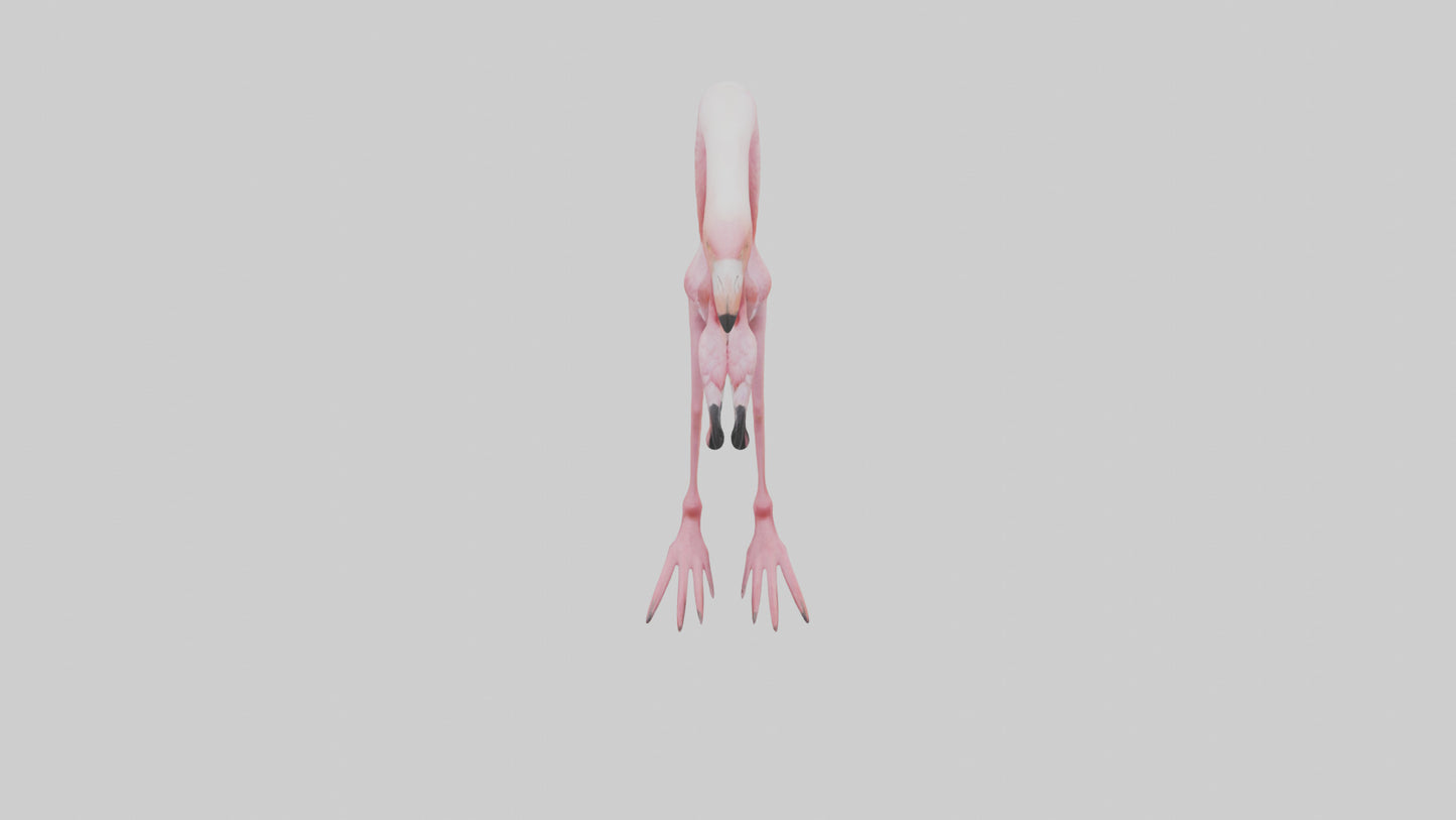 Flamingo Legs 3D model