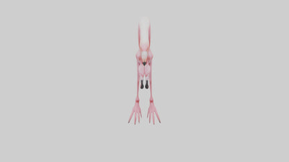 Flamingo Legs 3D model