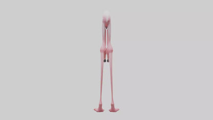Flamingo Legs 3D model