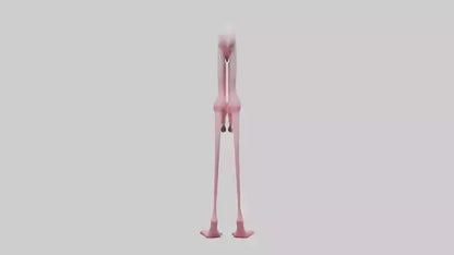 Flamingo Legs 3D model