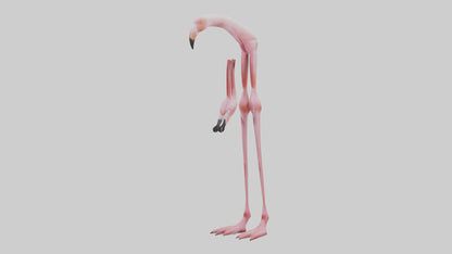 Flamingo Legs 3D model