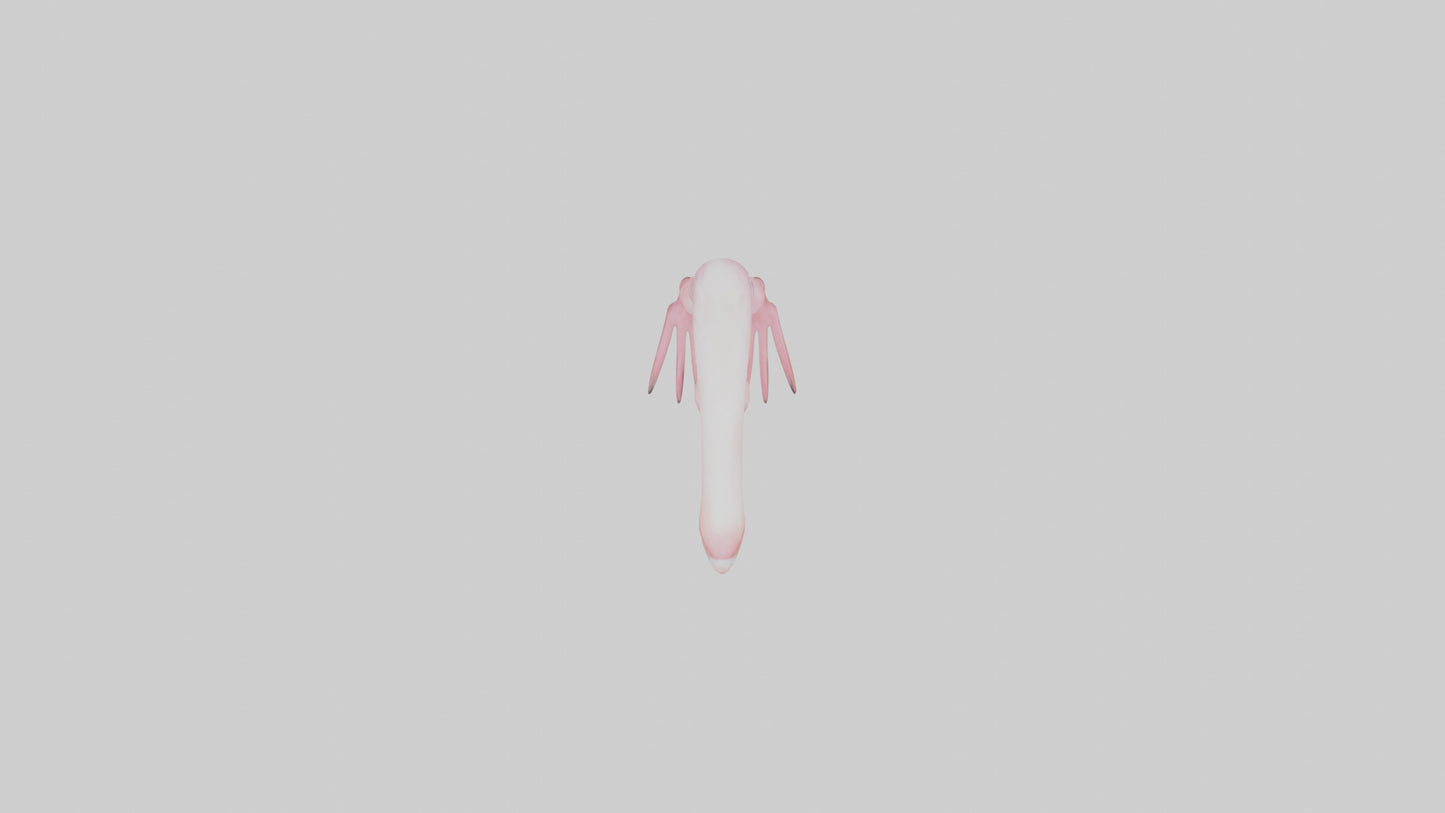 Flamingo Legs 3D model