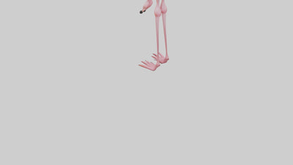 Flamingo Legs 3D model