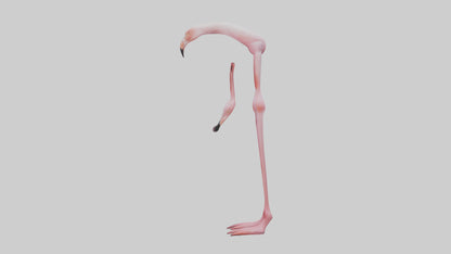 Flamingo Legs 3D model