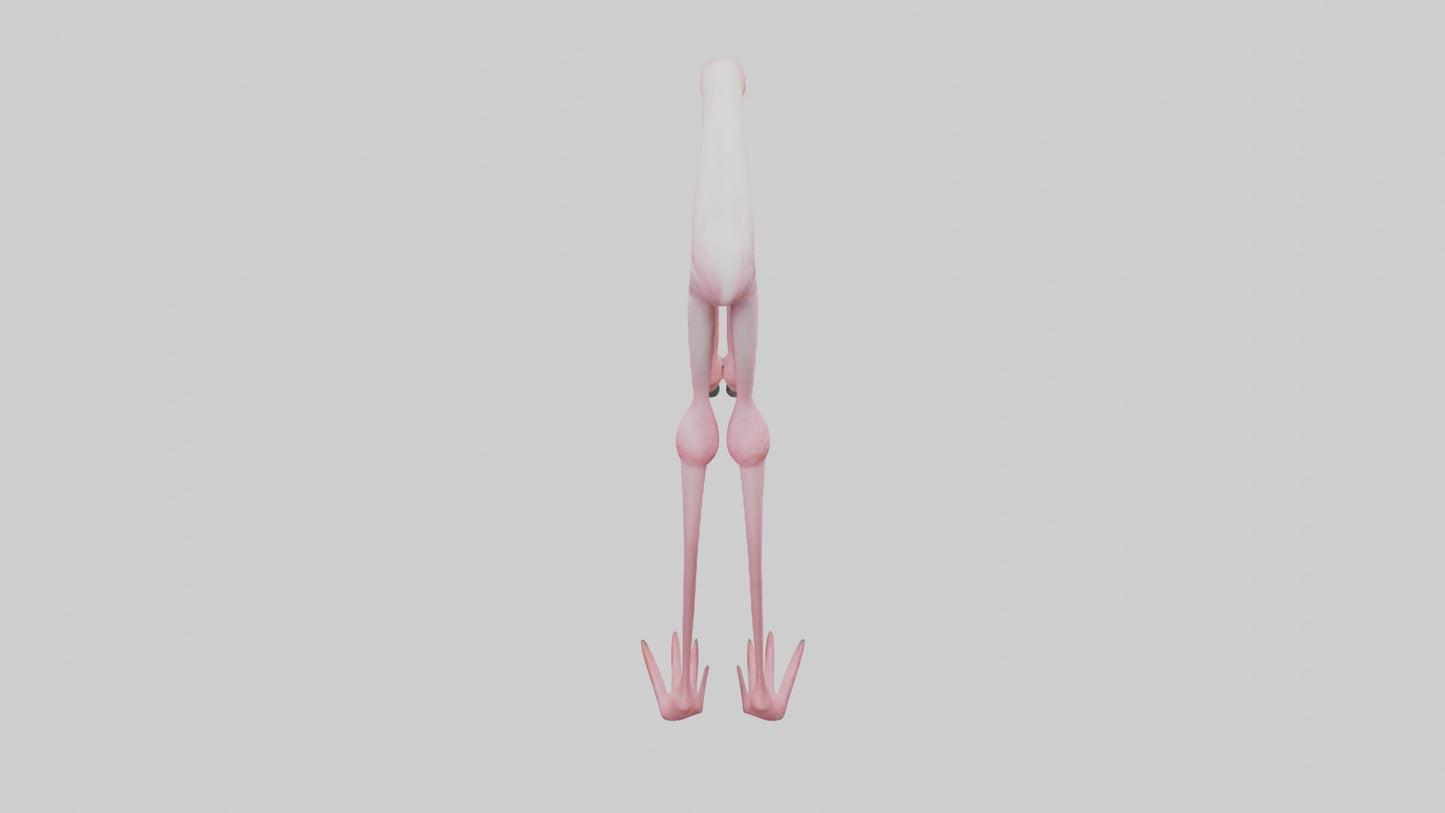 Flamingo Legs 3D model