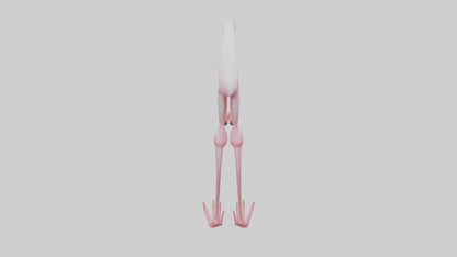 Flamingo Legs 3D model