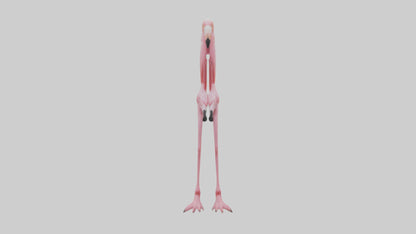 Flamingo Legs 3D model