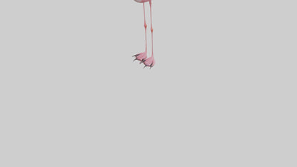 Flamingo Legs Model 3D model