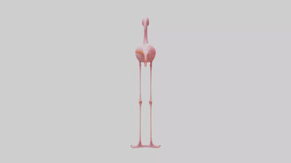 Flamingo Legs Model 3D model