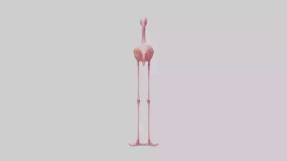Flamingo Legs Model 3D model