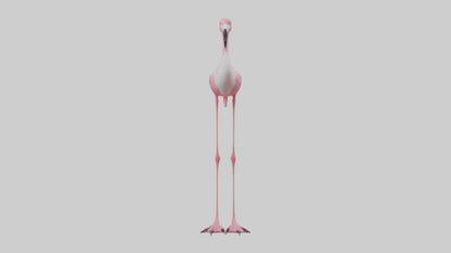 Flamingo Legs Model 3D model
